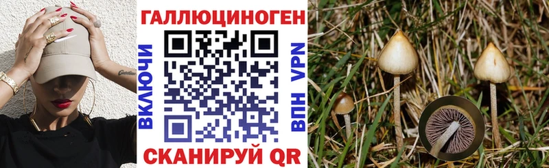 Псилоцибиновые грибы прущие грибы  Артёмовский 